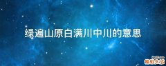 绿遍山原白满川中川的意思