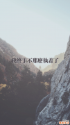 2 杜梨
