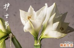 2023年护士节祝福语集锦
