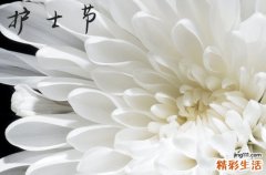 2023护士节祝福语大全