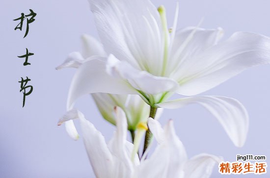 2023护士节祝福语短信大全