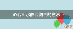 心若止水静若幽兰的意思