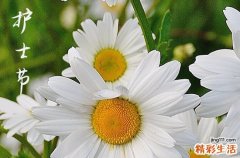 5.12护士节祝福短信2023