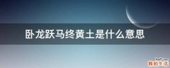 卧龙跃马终黄土是什么意思