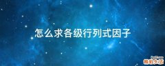 怎么求各级行列式因子