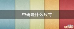 中碼是什么尺寸