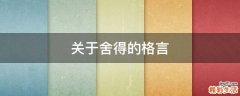 关于舍得的格言