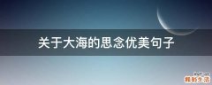 关于大海的思念优美句子