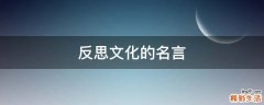 反思文化的名言