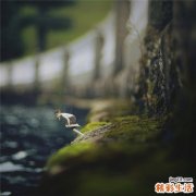 3 职场女性缓解压力的方法
