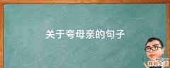 关于夸母亲的句子