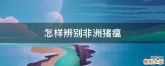 怎样辨别非洲猪瘟