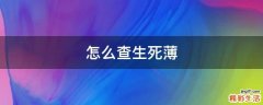 怎么查生死薄