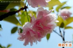60岁老人流鼻血是怎么回事