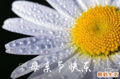 2023母亲节送花祝福语