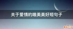 关于爱情的唯美美好短句子