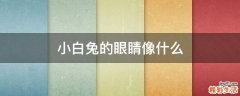 小白兔的眼睛像什么