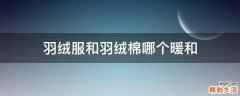 羽绒服和羽绒棉哪个暖和