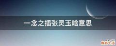一念之插张灵玉啥意思
