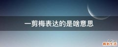一剪梅表达的是啥意思