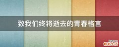 致我们终将逝去的青春格言