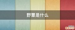 野蕈是什么