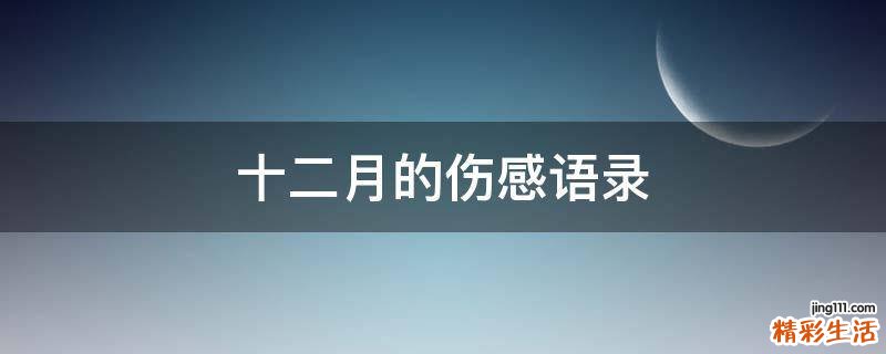 十二月的伤感语录