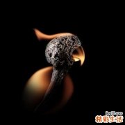 清明节挂纸可以提前吗