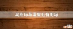 乌斯玛草增眉毛有用吗