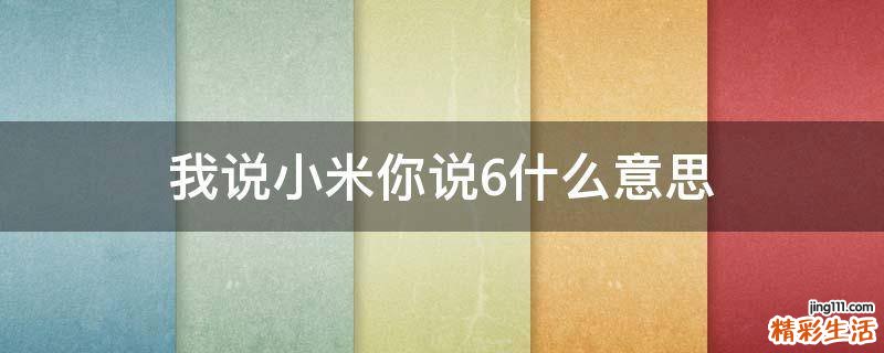 我说小米你说6什么意思