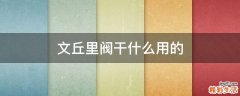 文丘里阀干什么用的