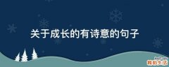 关于成长的有诗意的句子