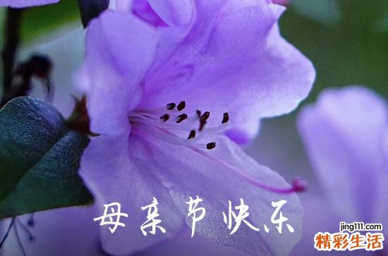 2023母亲节QQ祝福语汇总66句