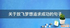 关于放飞梦想追求成功的句子