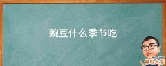 豌豆什么季节吃