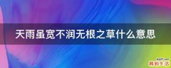 天雨虽宽不润无根之草什么意思