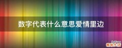 数字代表什么意思爱情里边