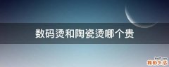 数码烫和陶瓷烫哪个贵