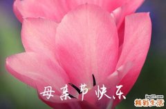 2023母亲节快乐的微信祝福语合集57条
