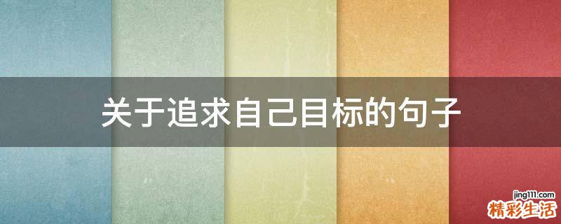 关于追求自己目标的句子