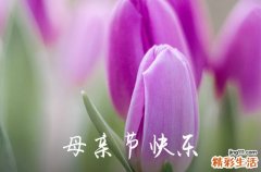 2023母亲节温馨祝愿短信