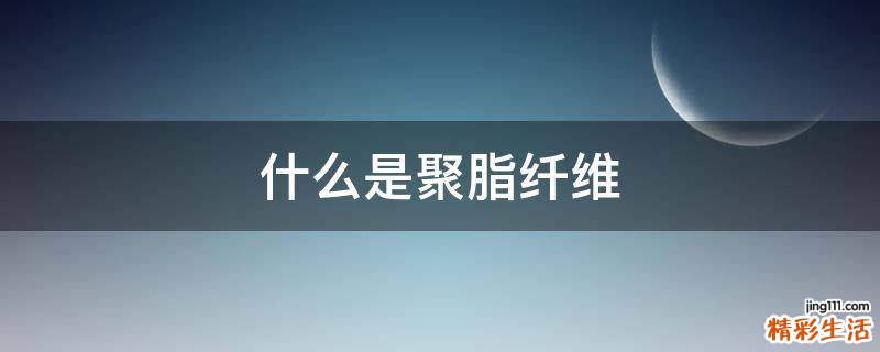 什么是聚脂纤维
