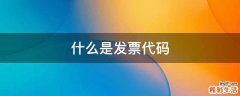 什么是发票代码