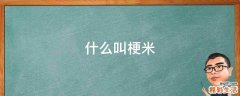 什么叫梗米