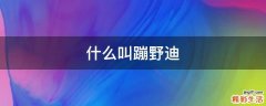 什么叫蹦野迪