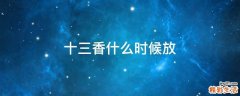 十三香什么时候放