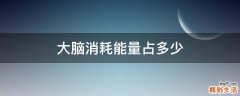 大脑消耗能量占多少
