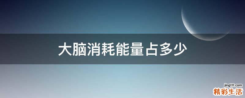 大脑消耗能量占多少
