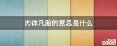 肉体凡胎的意思是什么