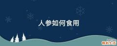 人参如何食用